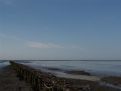 Waddenzee