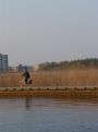 Cycle along the lake