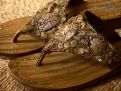 Oriental slippers