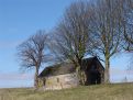 Old house amoung trees