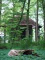 Hut in the woods