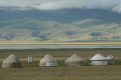 Tents in a row