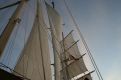 sails of a clipper