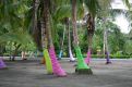 coloured palmtree beach