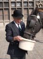 city guide feeding his horse