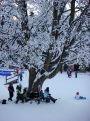 Under the ski tree