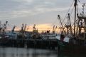 The Cosy Harlinger Dock At Sundown